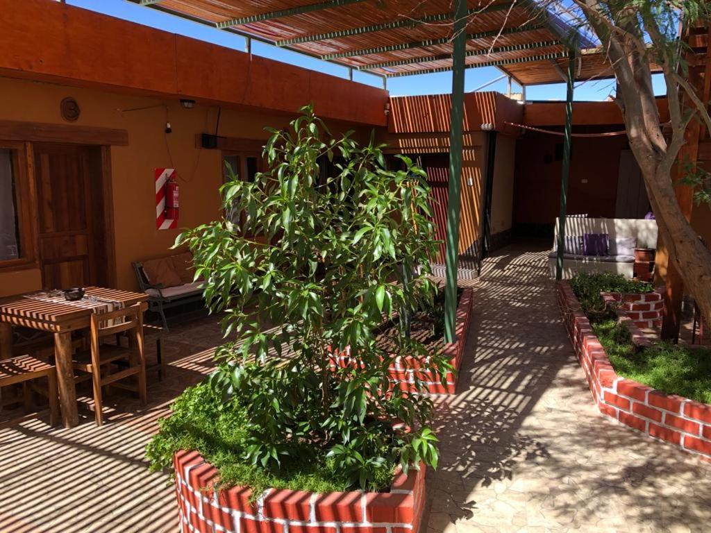 Hostal Nuevo Amanecer Сан-Педро-де-Атакама Екстер'єр фото